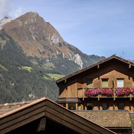 Hotel Goldried 3*